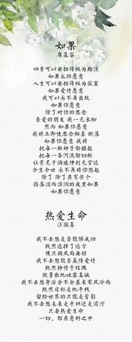 中国现代诗的相关图片